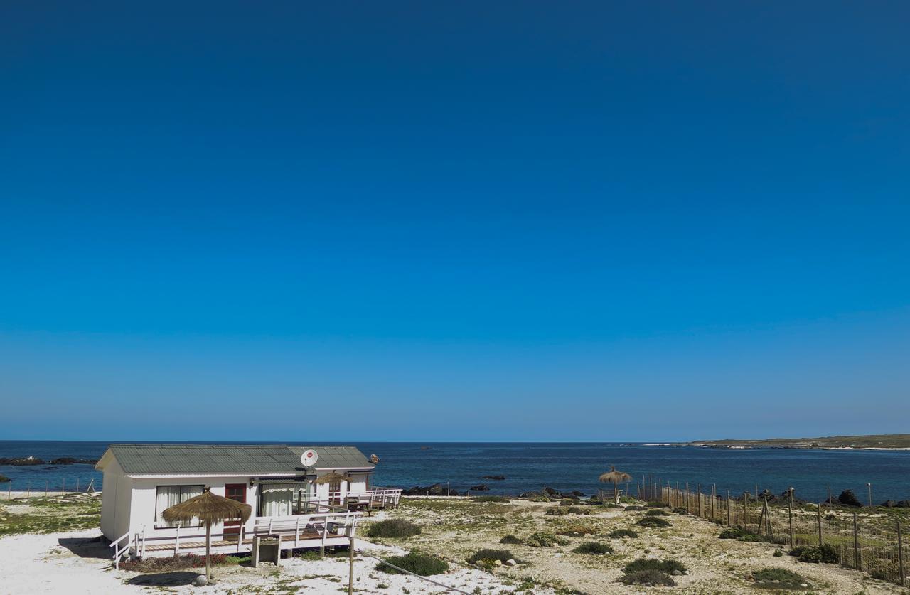 Refugio Humboldt Villa ปุนตา เด โชรอส ภายนอก รูปภาพ