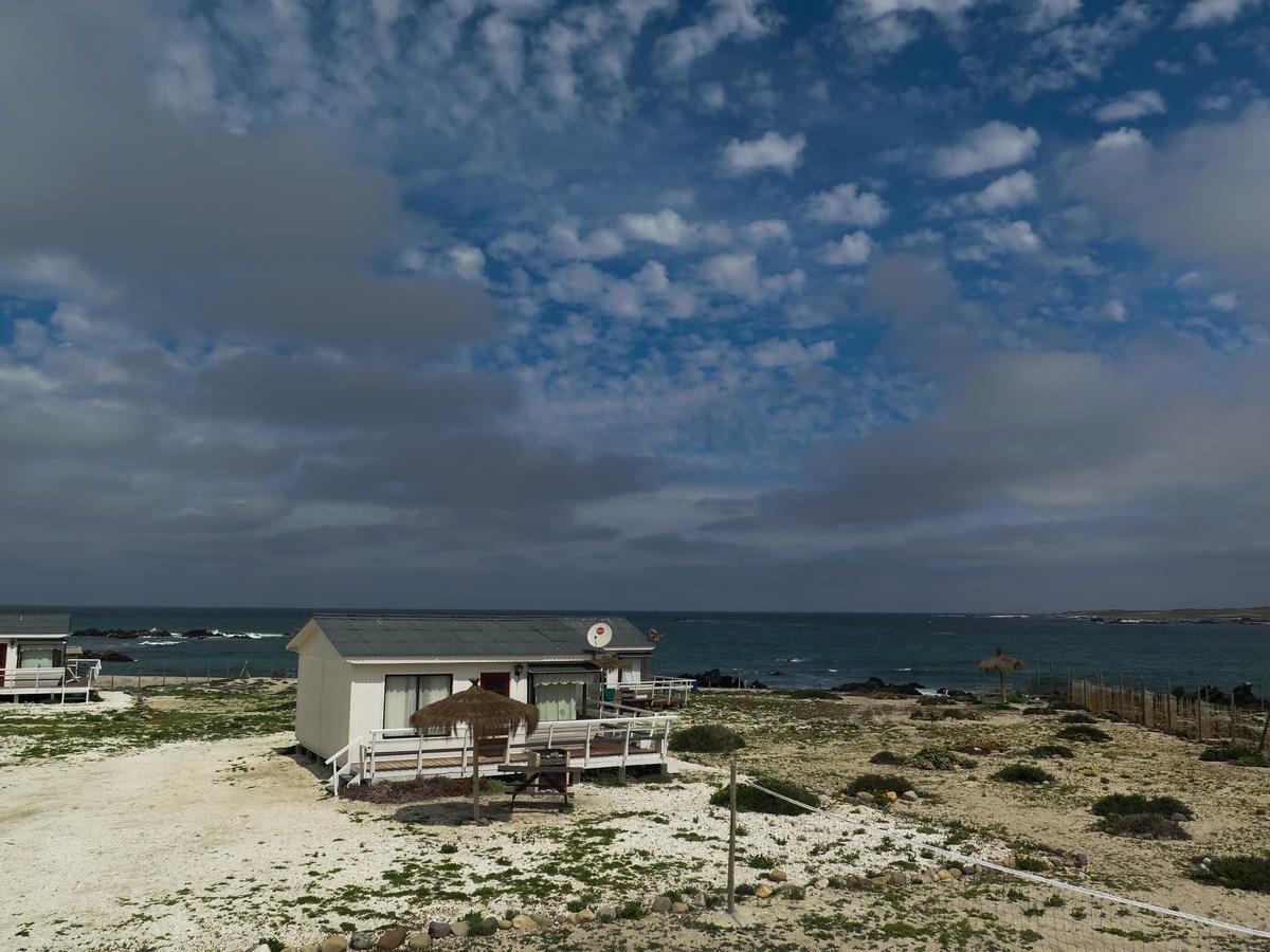 Refugio Humboldt Villa ปุนตา เด โชรอส ภายนอก รูปภาพ