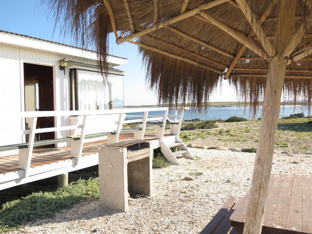 Refugio Humboldt Villa ปุนตา เด โชรอส ภายนอก รูปภาพ